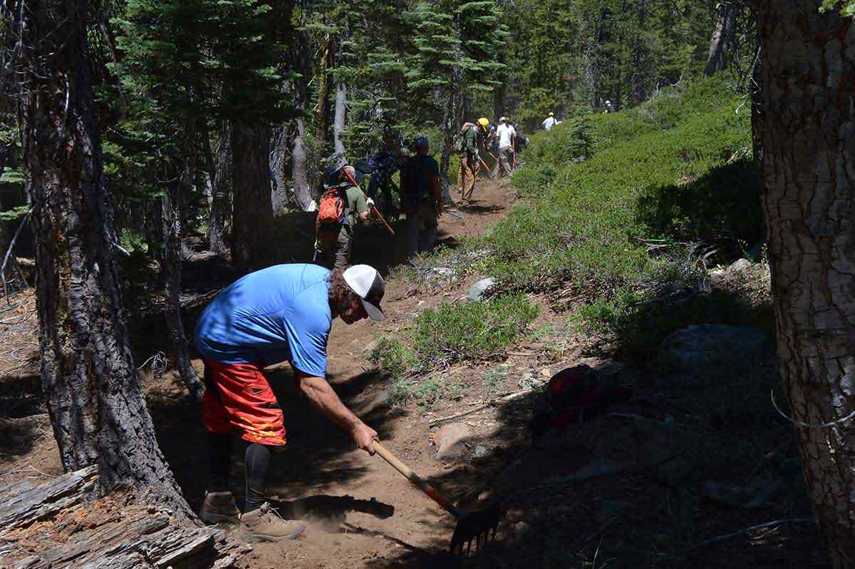 Stewardship volunteers building a trail.